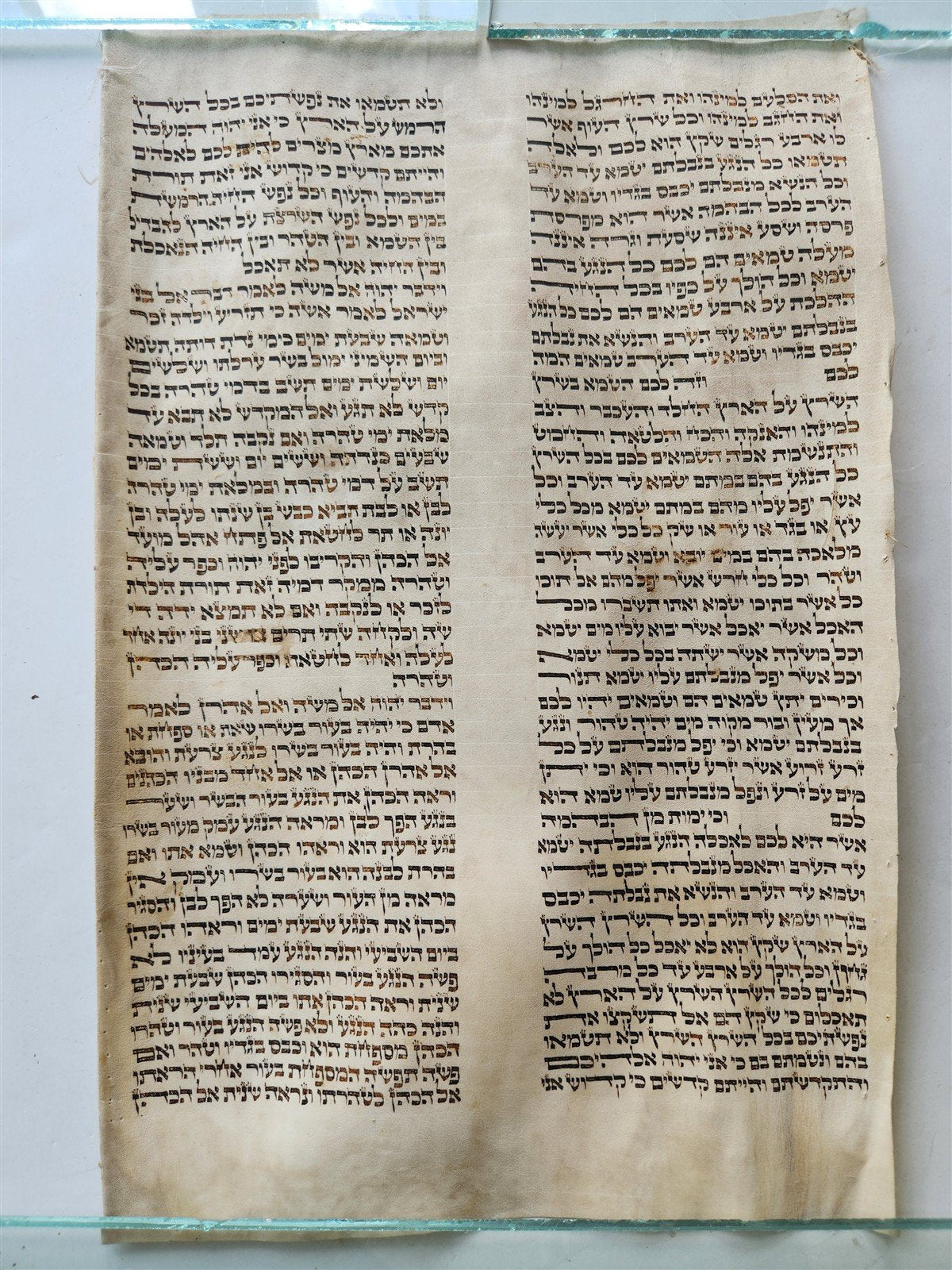 TORAH SCROLL FRAGMENT VELLUM MANUSCRIPT 19th century ANTIQUE LEVITICUS 13x20"