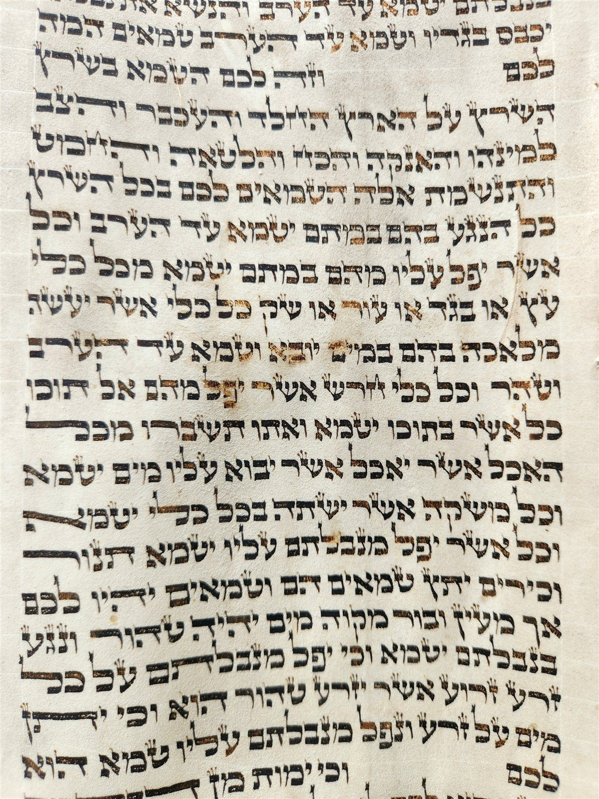 TORAH SCROLL FRAGMENT VELLUM MANUSCRIPT 19th century ANTIQUE LEVITICUS 13x20"