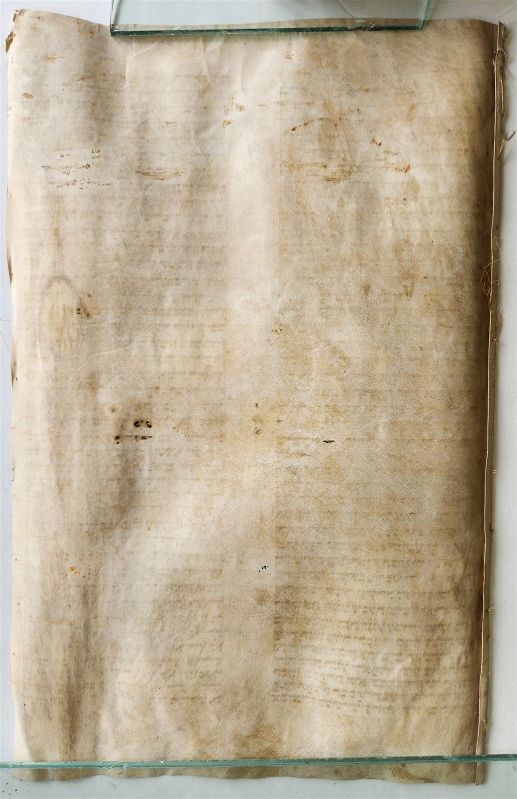 TORAH SCROLL FRAGMENT VELLUM MANUSCRIPT 19th century ANTIQUE LEVITICUS 13x20"