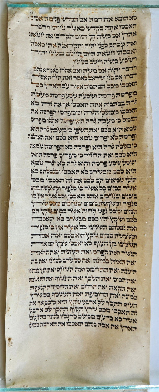 TORAH SCROLL FRAGMENT VELLUM MANUSCRIPT 19th century ANTIQUE LEVITICUS 7 x 18"