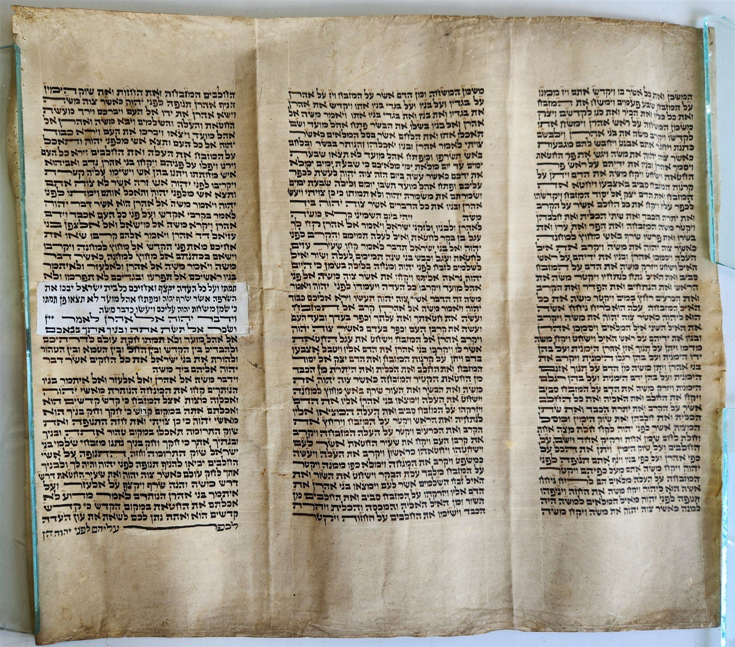 TORAH SCROLL FRAGMENT VELLUM MANUSCRIPT 19th century ANTIQUE LEVITICUS 19.5x22"