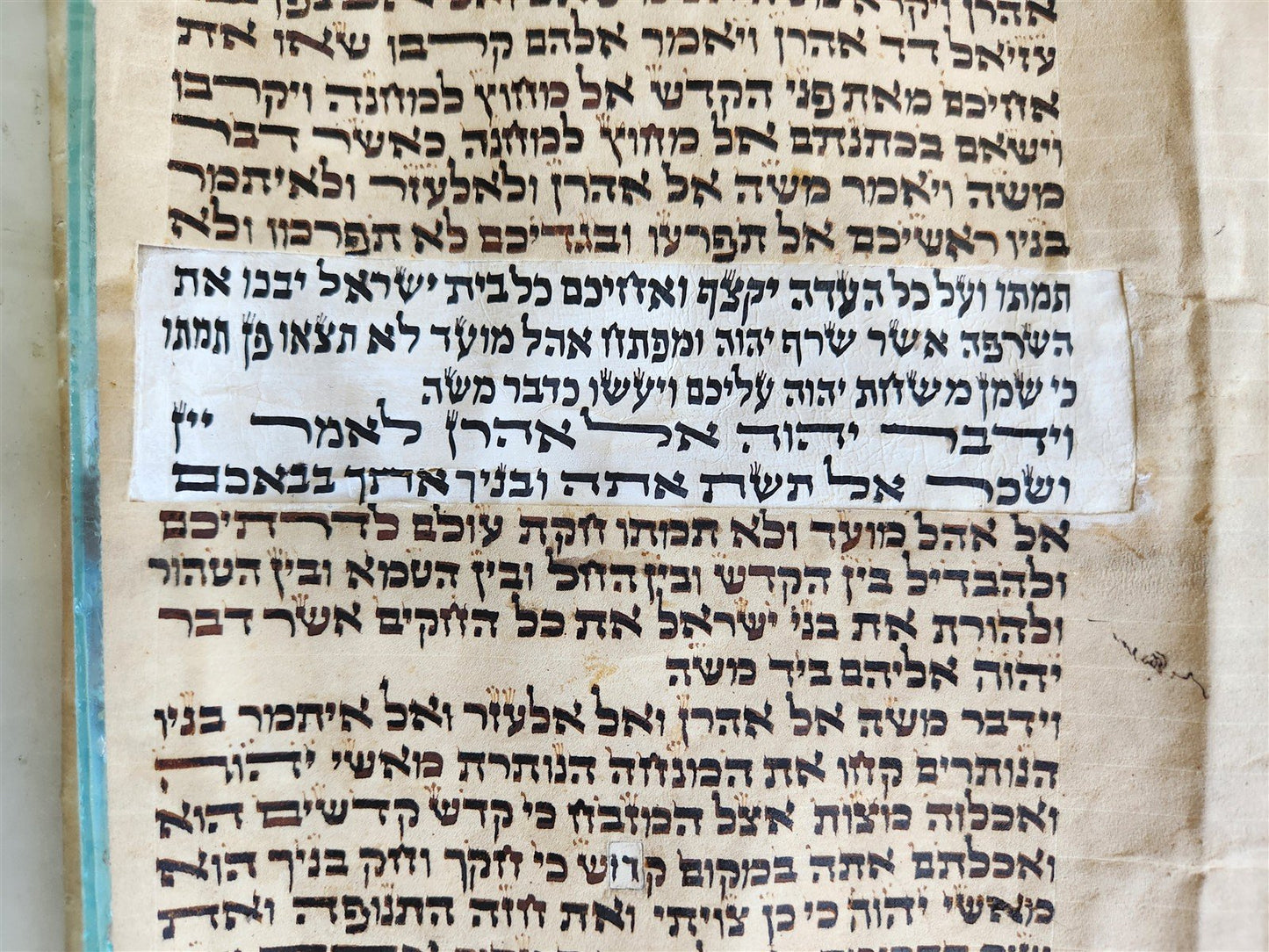 TORAH SCROLL FRAGMENT VELLUM MANUSCRIPT 19th century ANTIQUE LEVITICUS 19.5x22"