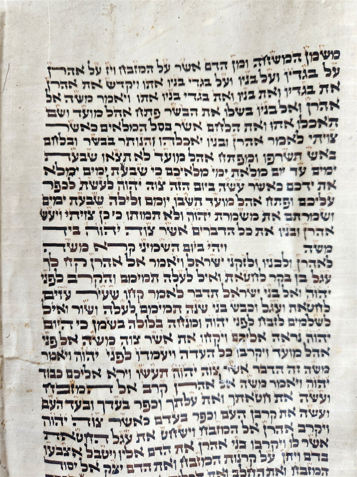 TORAH SCROLL FRAGMENT VELLUM MANUSCRIPT 19th century ANTIQUE LEVITICUS 19.5x22"