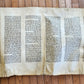 TORAH SCROLL FRAGMENT VELLUM MANUSCRIPT 19th century ANTIQUE Book of EXODUS