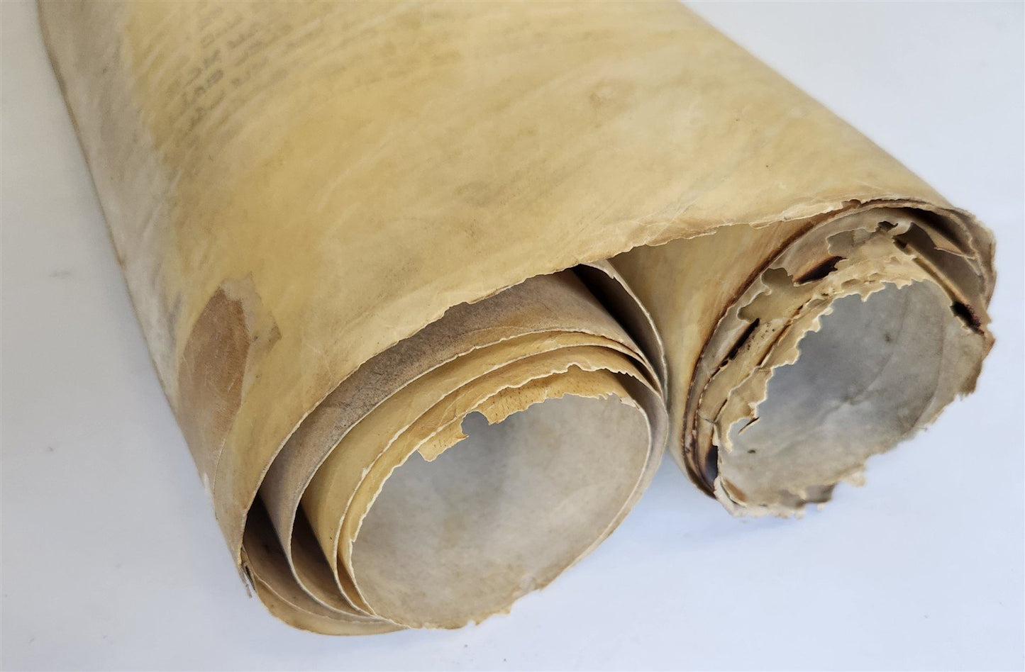 TORAH SCROLL FRAGMENT VELLUM MANUSCRIPT 19th century ANTIQUE Book of EXODUS