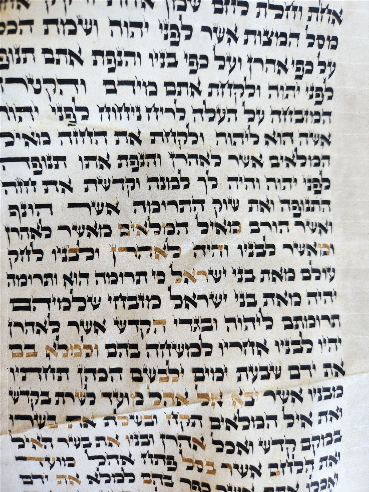 TORAH SCROLL FRAGMENT VELLUM MANUSCRIPT 19th century ANTIQUE Book of EXODUS