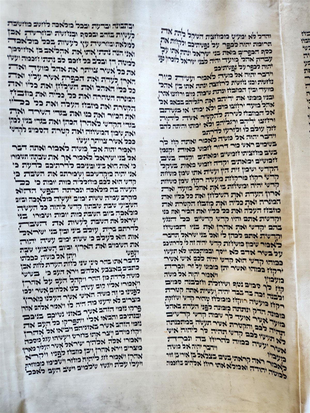 TORAH SCROLL FRAGMENT VELLUM MANUSCRIPT 19th century ANTIQUE Book of EXODUS