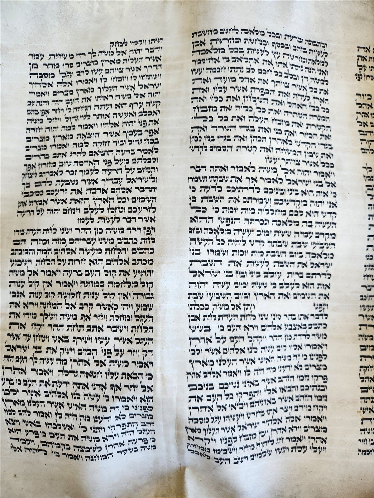 TORAH SCROLL FRAGMENT VELLUM MANUSCRIPT 19th century ANTIQUE Book of EXODUS