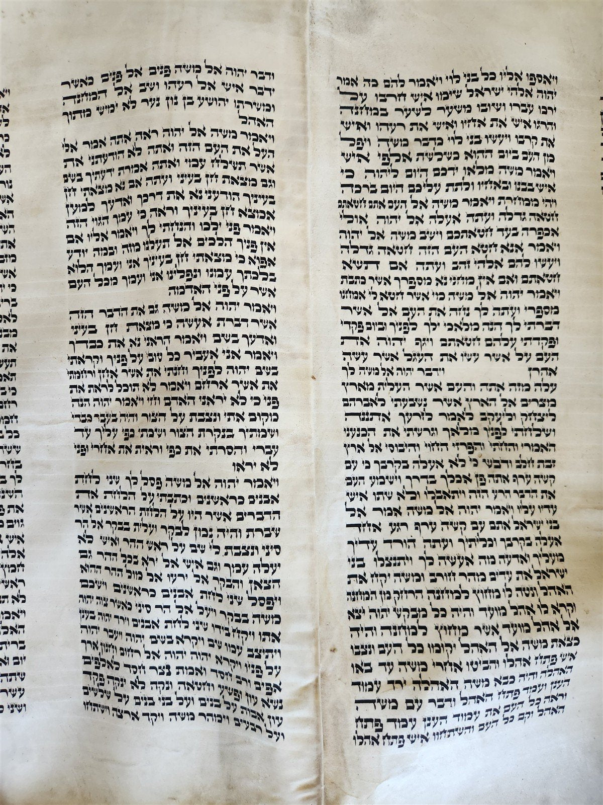 TORAH SCROLL FRAGMENT VELLUM MANUSCRIPT 19th century ANTIQUE Book of EXODUS