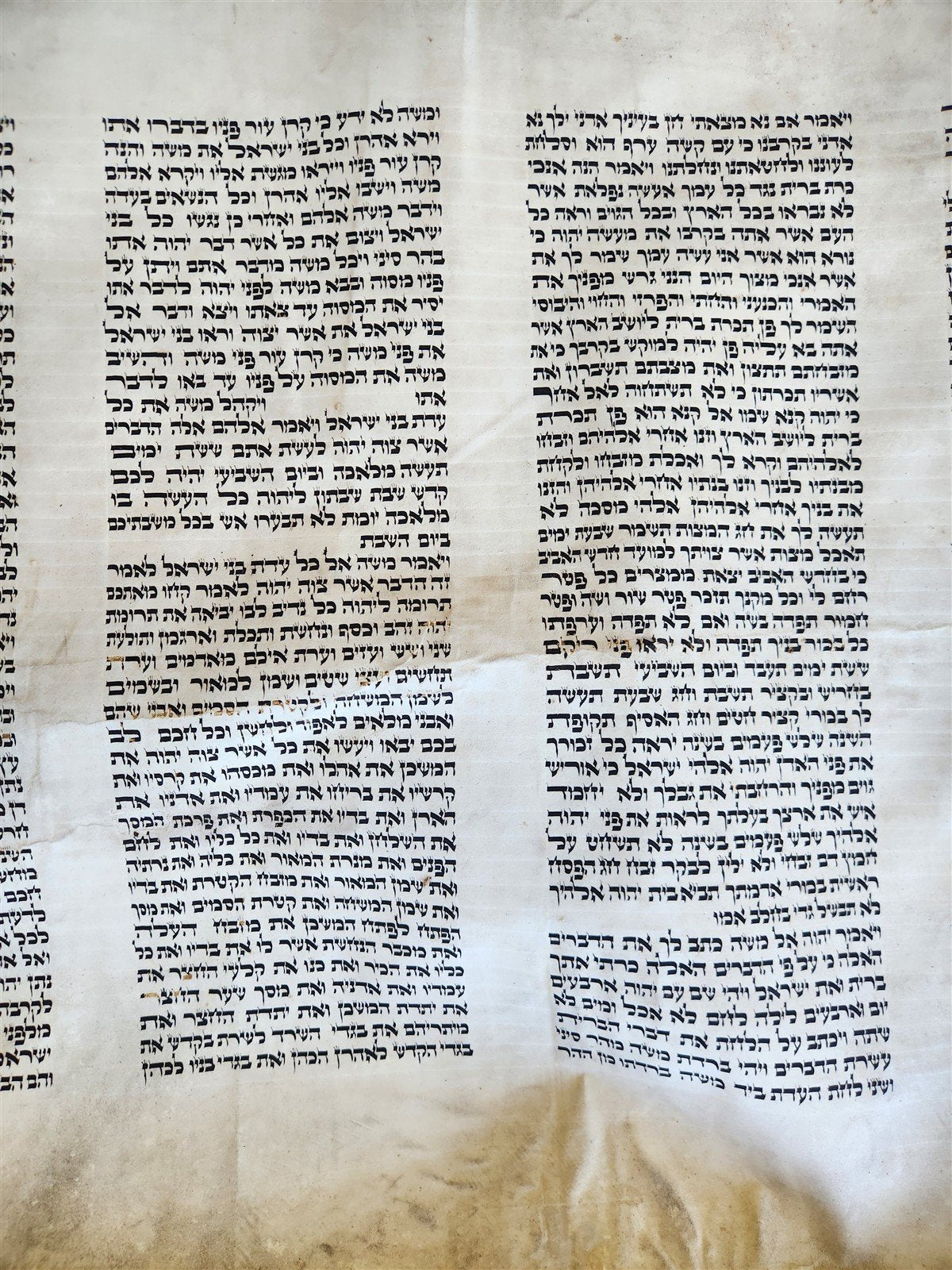 TORAH SCROLL FRAGMENT VELLUM MANUSCRIPT 19th century ANTIQUE Book of EXODUS