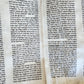 TORAH SCROLL FRAGMENT VELLUM MANUSCRIPT 19th century ANTIQUE Book of EXODUS