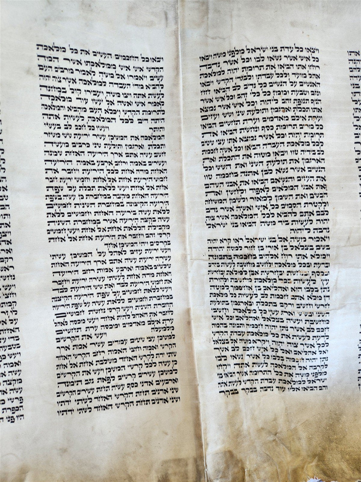 TORAH SCROLL FRAGMENT VELLUM MANUSCRIPT 19th century ANTIQUE Book of EXODUS
