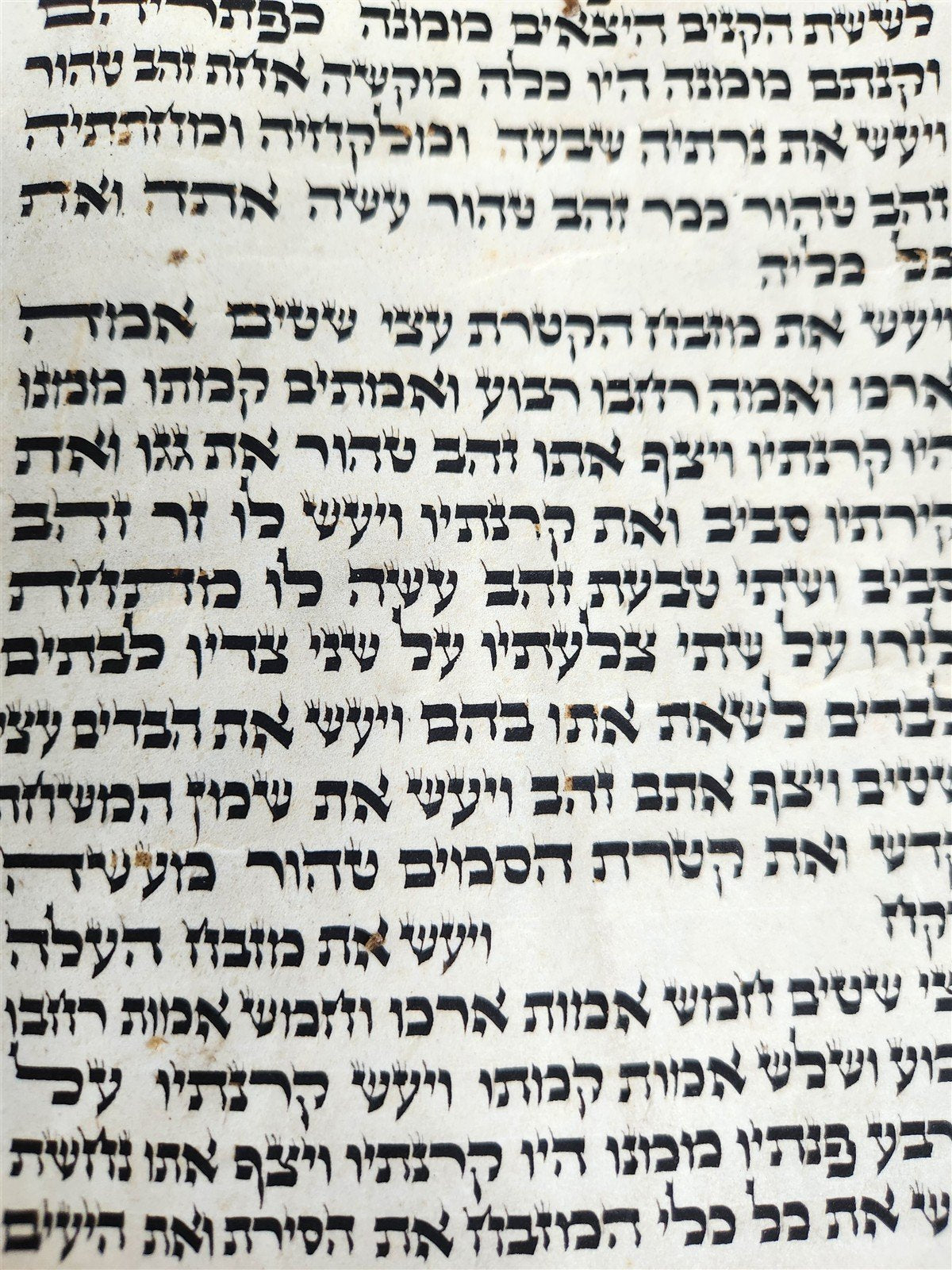TORAH SCROLL FRAGMENT VELLUM MANUSCRIPT 19th century ANTIQUE Book of EXODUS