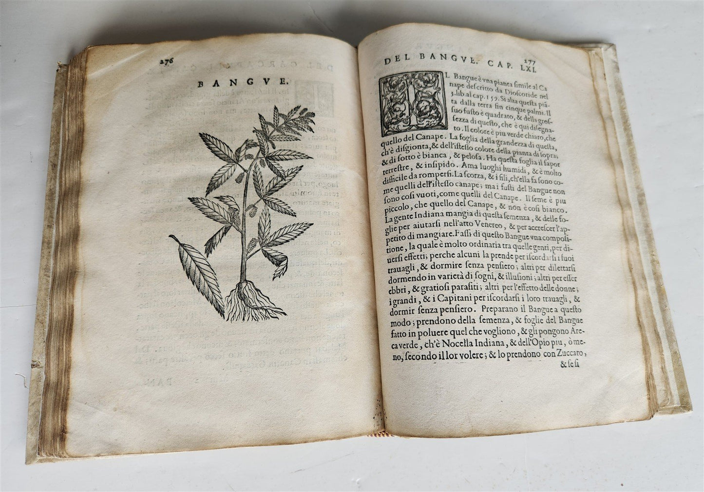 1585 HISTORY NATURE & POWER of MEDICINAL DRUGS by C. Acosta antique ILLUSTRATED