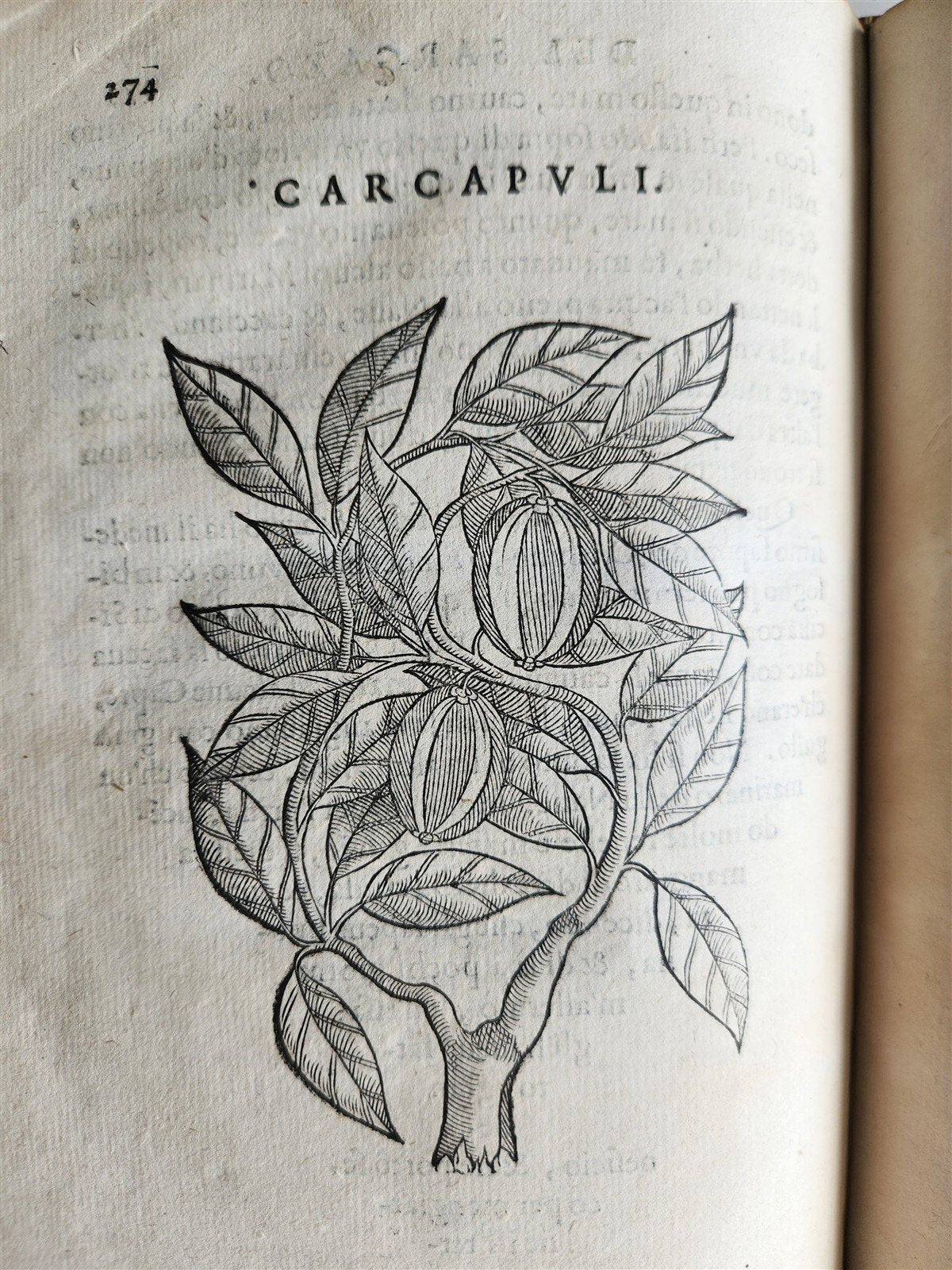 1585 HISTORY NATURE & POWER of MEDICINAL DRUGS by C. Acosta antique ILLUSTRATED