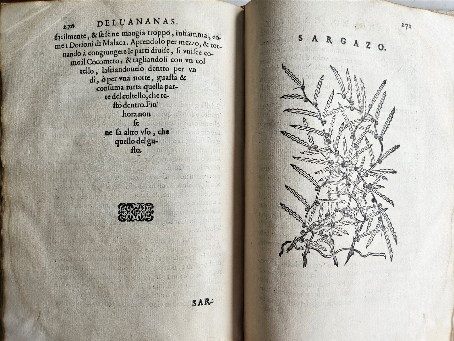 1585 HISTORY NATURE & POWER of MEDICINAL DRUGS by C. Acosta antique ILLUSTRATED