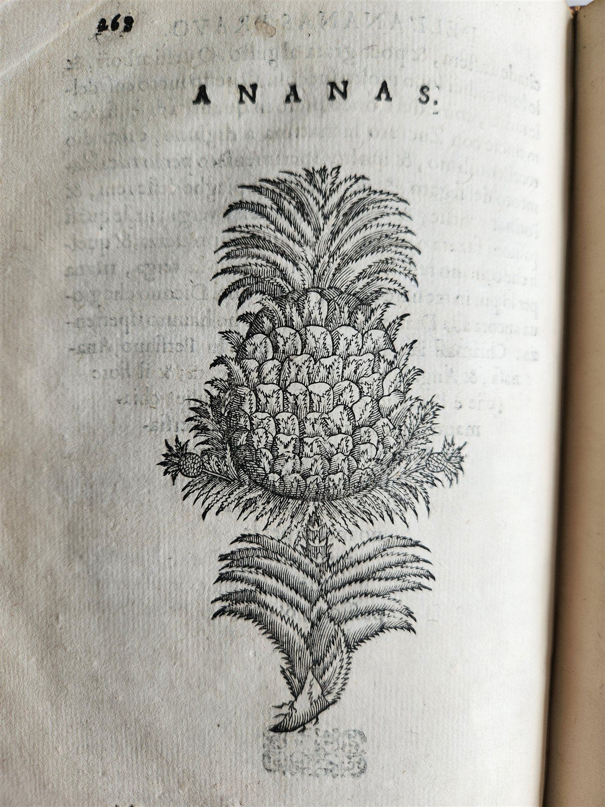 1585 HISTORY NATURE & POWER of MEDICINAL DRUGS by C. Acosta antique ILLUSTRATED
