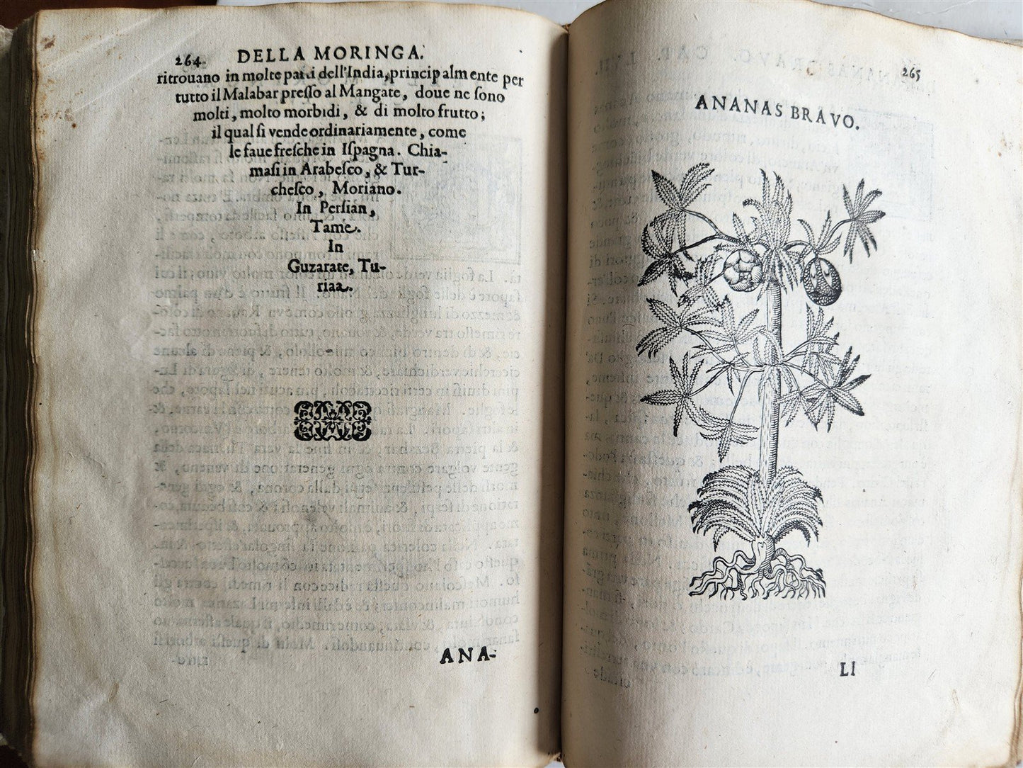 1585 HISTORY NATURE & POWER of MEDICINAL DRUGS by C. Acosta antique ILLUSTRATED