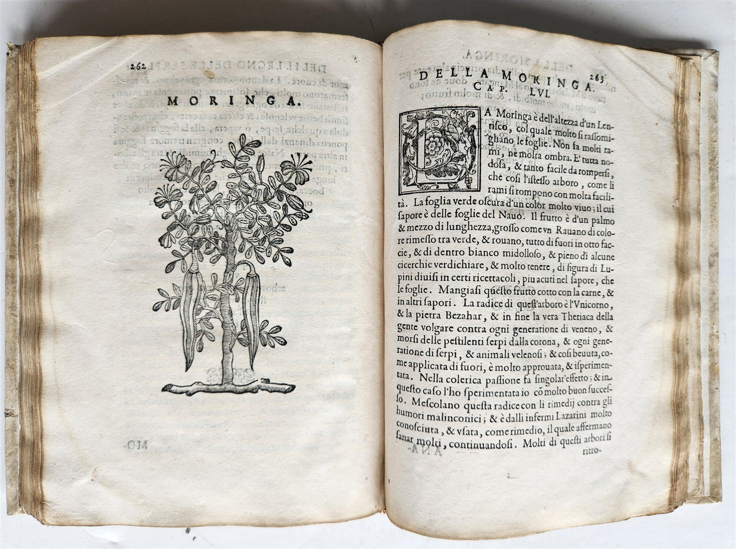 1585 HISTORY NATURE & POWER of MEDICINAL DRUGS by C. Acosta antique ILLUSTRATED