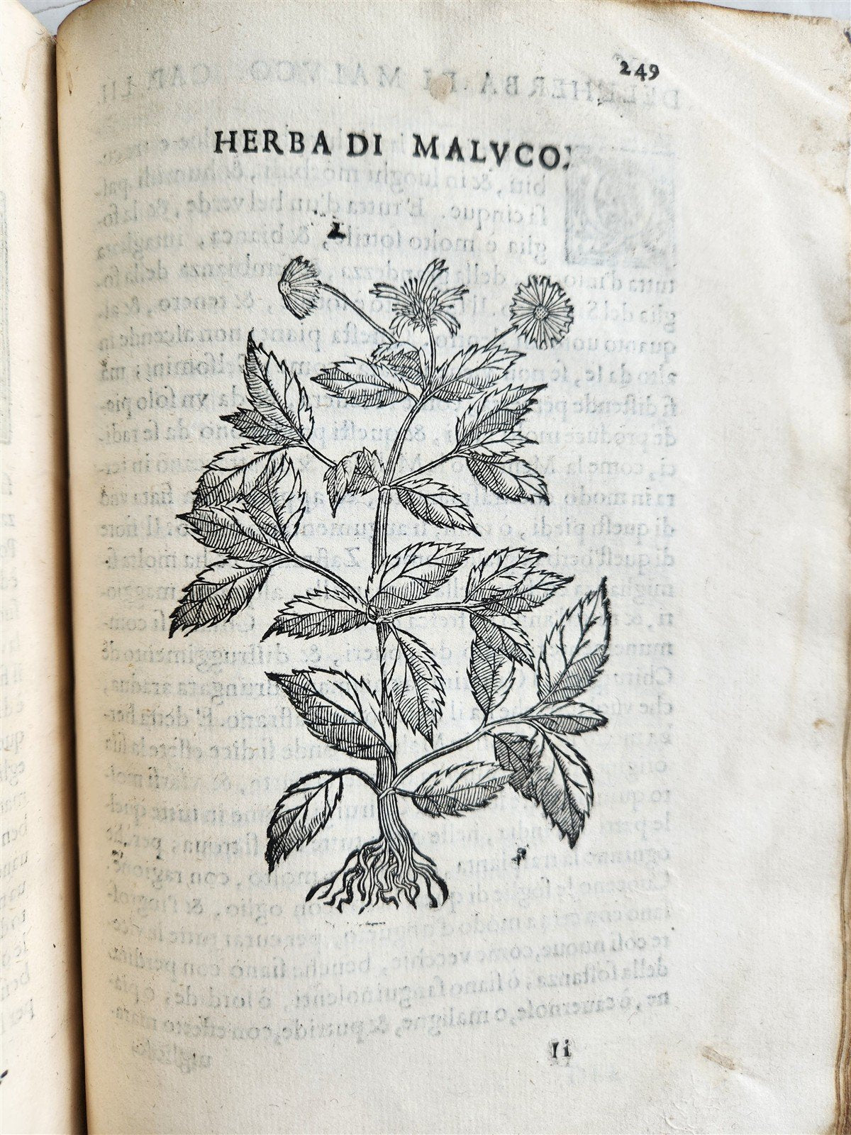 1585 HISTORY NATURE & POWER of MEDICINAL DRUGS by C. Acosta antique ILLUSTRATED