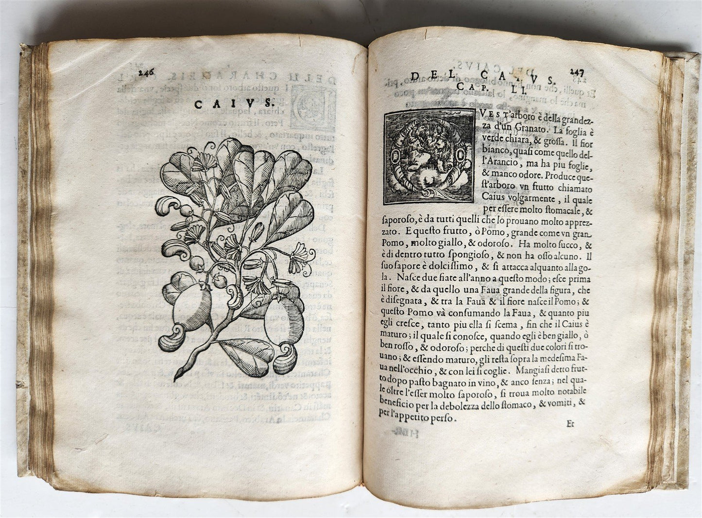 1585 HISTORY NATURE & POWER of MEDICINAL DRUGS by C. Acosta antique ILLUSTRATED