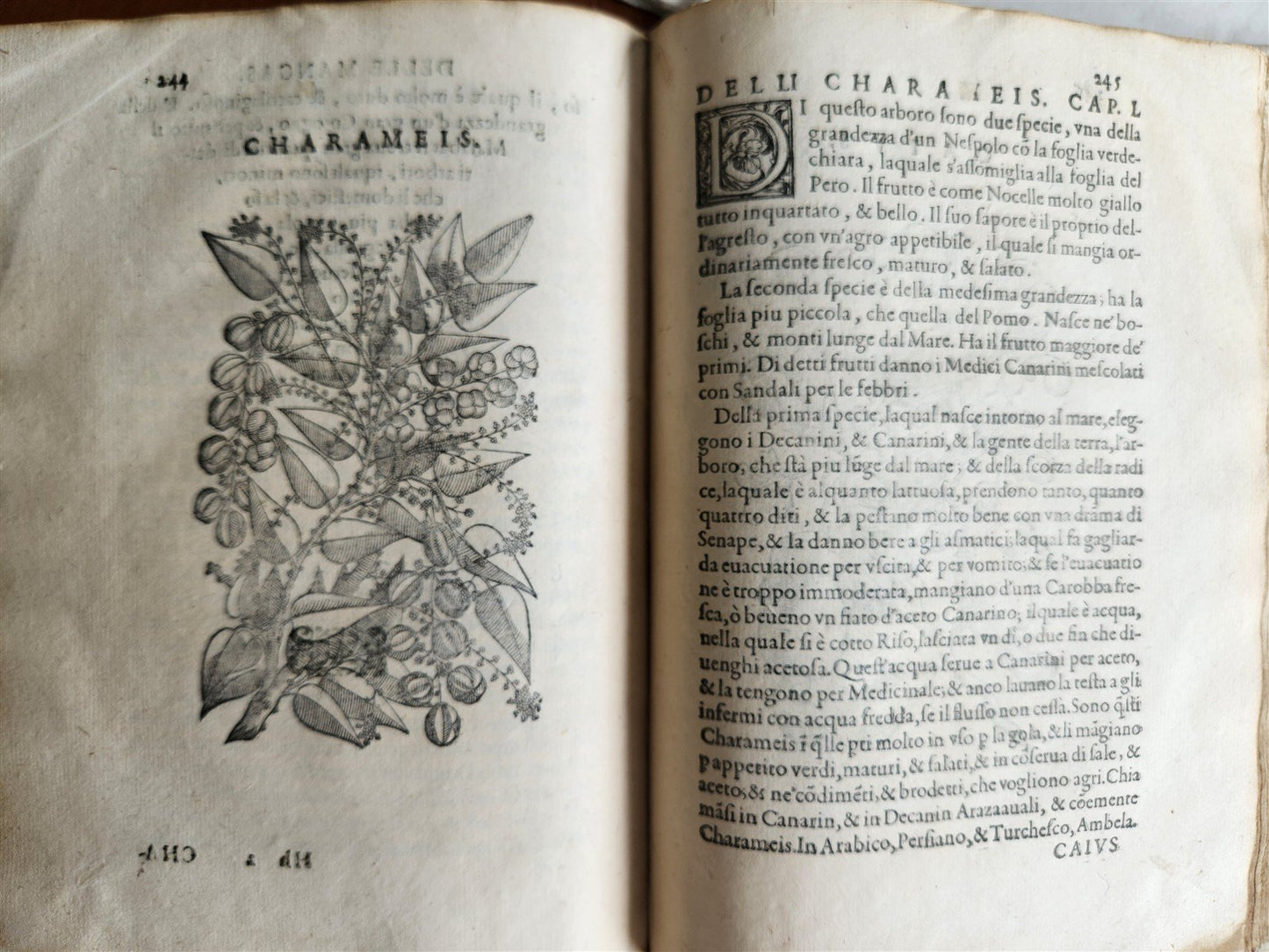 1585 HISTORY NATURE & POWER of MEDICINAL DRUGS by C. Acosta antique ILLUSTRATED