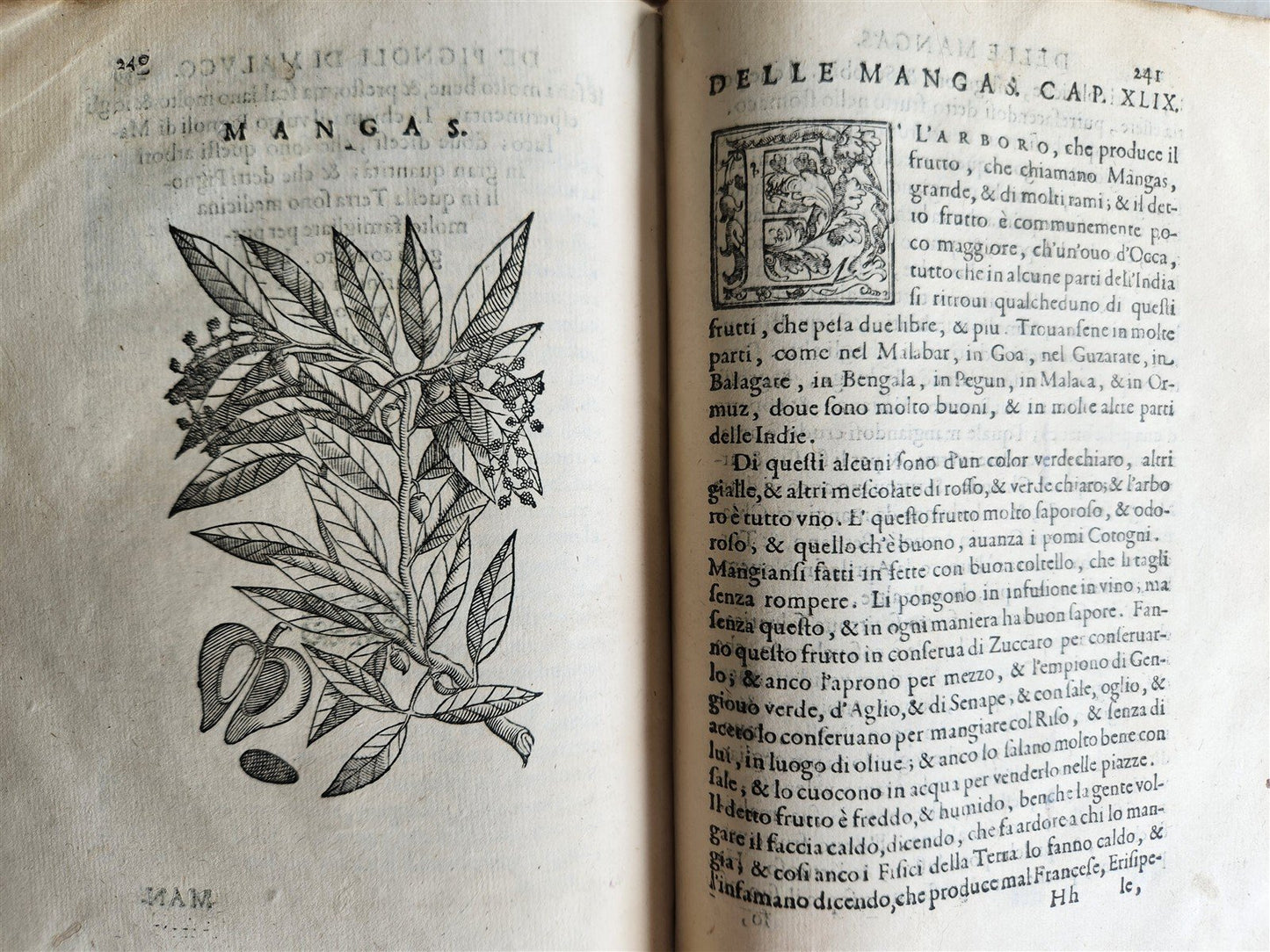 1585 HISTORY NATURE & POWER of MEDICINAL DRUGS by C. Acosta antique ILLUSTRATED