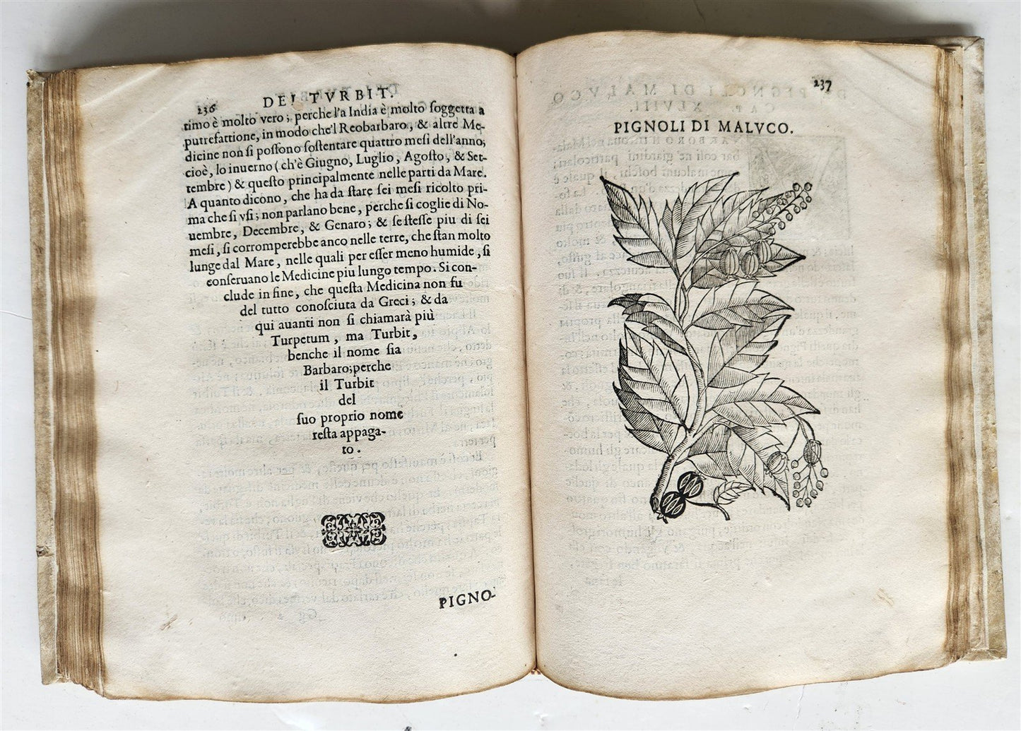 1585 HISTORY NATURE & POWER of MEDICINAL DRUGS by C. Acosta antique ILLUSTRATED