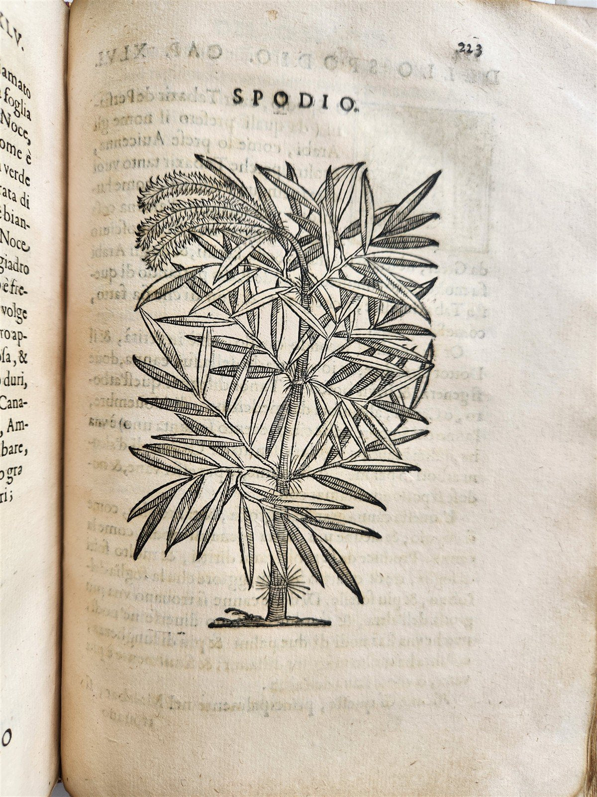 1585 HISTORY NATURE & POWER of MEDICINAL DRUGS by C. Acosta antique ILLUSTRATED