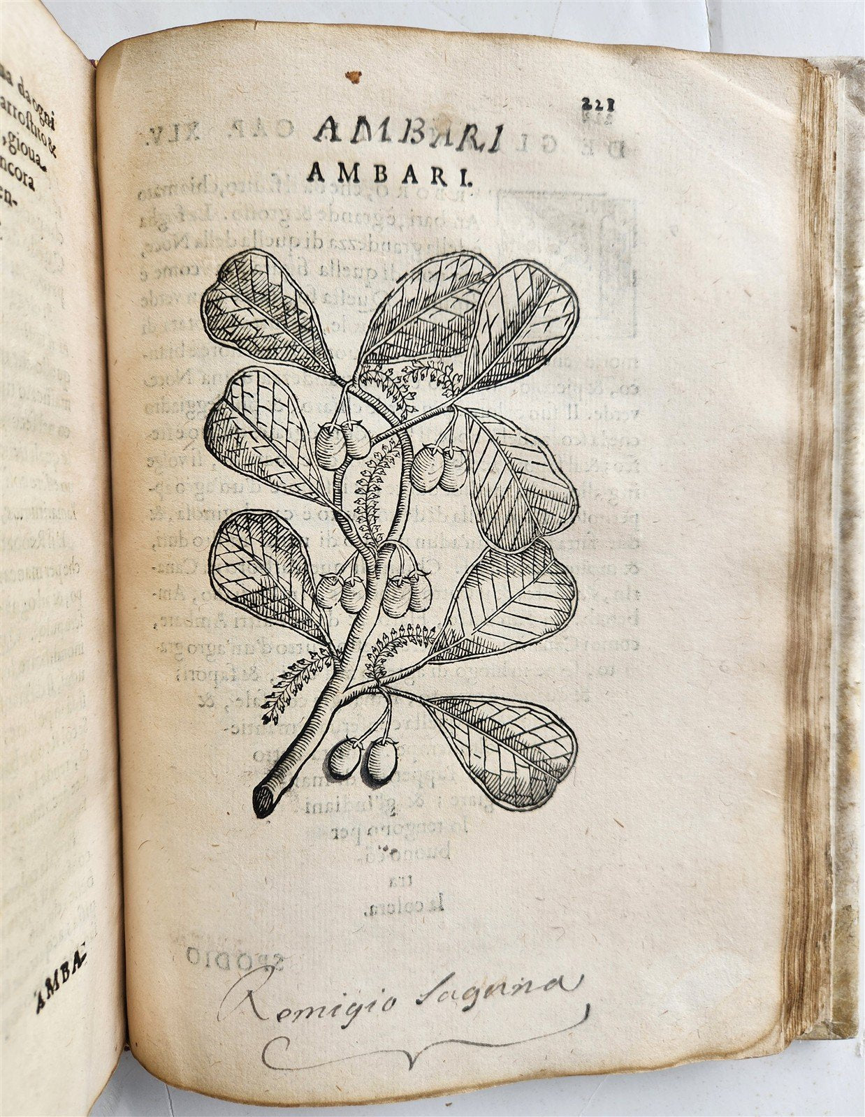 1585 HISTORY NATURE & POWER of MEDICINAL DRUGS by C. Acosta antique ILLUSTRATED