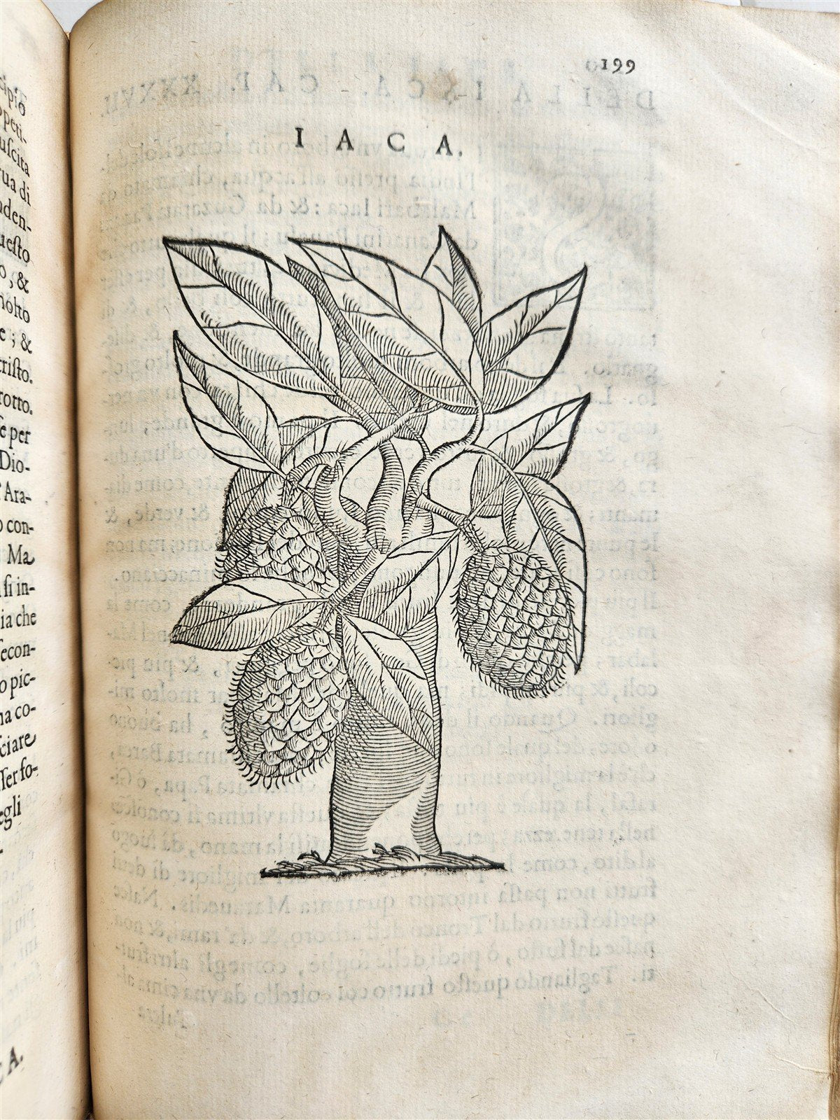 1585 HISTORY NATURE & POWER of MEDICINAL DRUGS by C. Acosta antique ILLUSTRATED