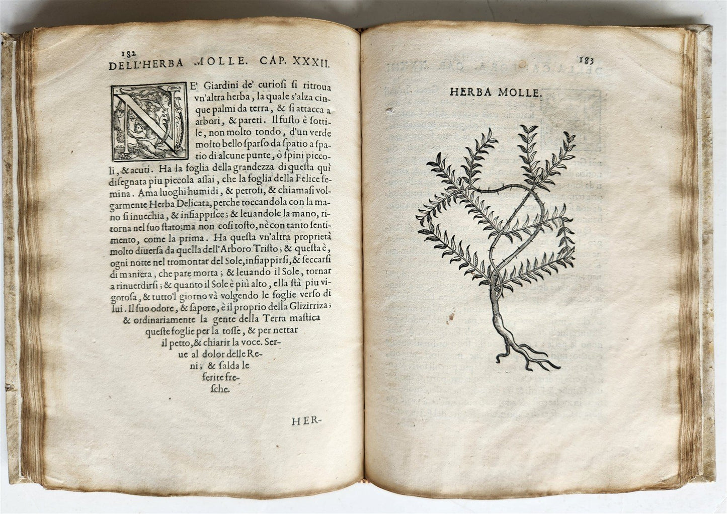 1585 HISTORY NATURE & POWER of MEDICINAL DRUGS by C. Acosta antique ILLUSTRATED