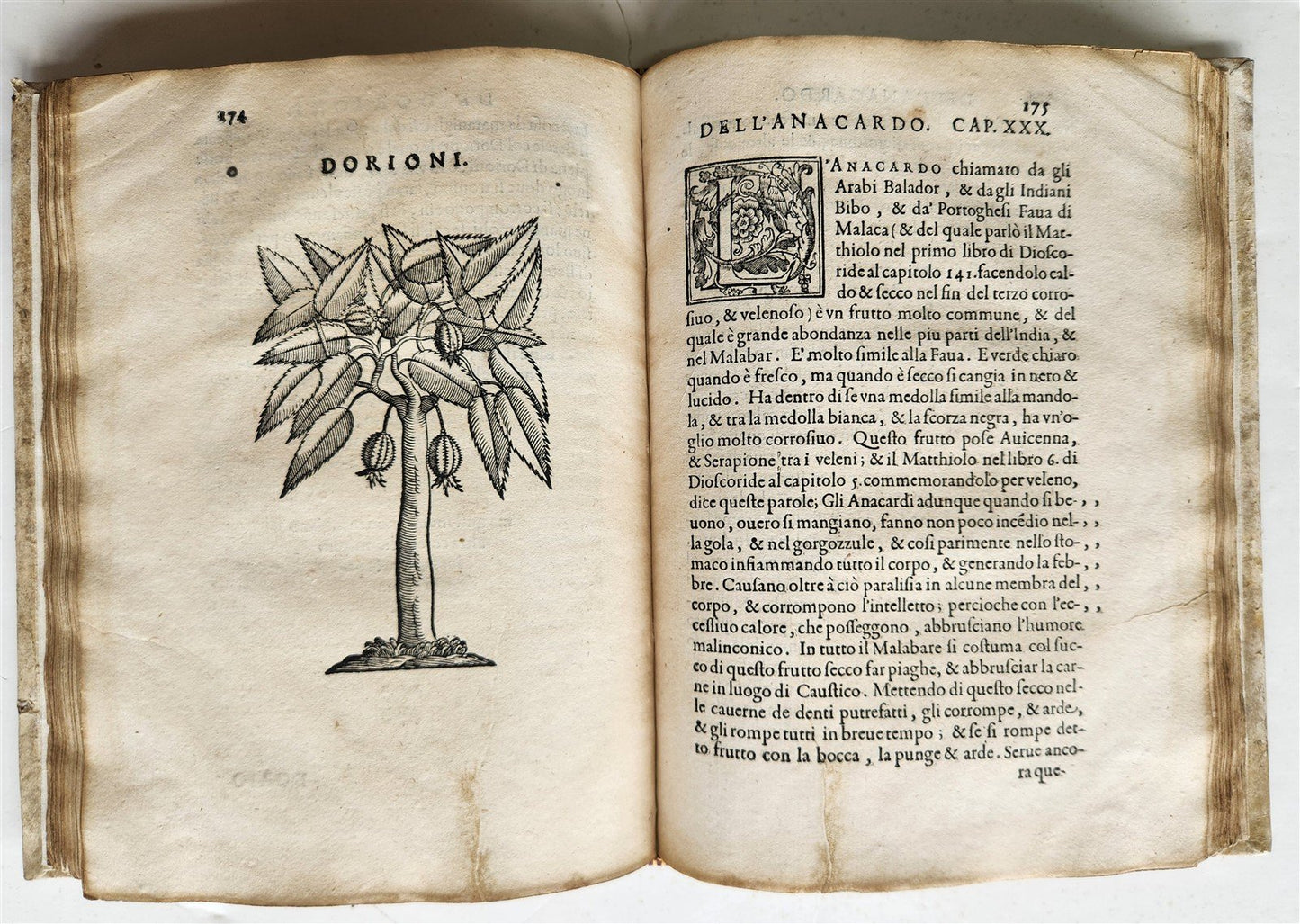 1585 HISTORY NATURE & POWER of MEDICINAL DRUGS by C. Acosta antique ILLUSTRATED