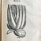 1585 HISTORY NATURE & POWER of MEDICINAL DRUGS by C. Acosta antique ILLUSTRATED