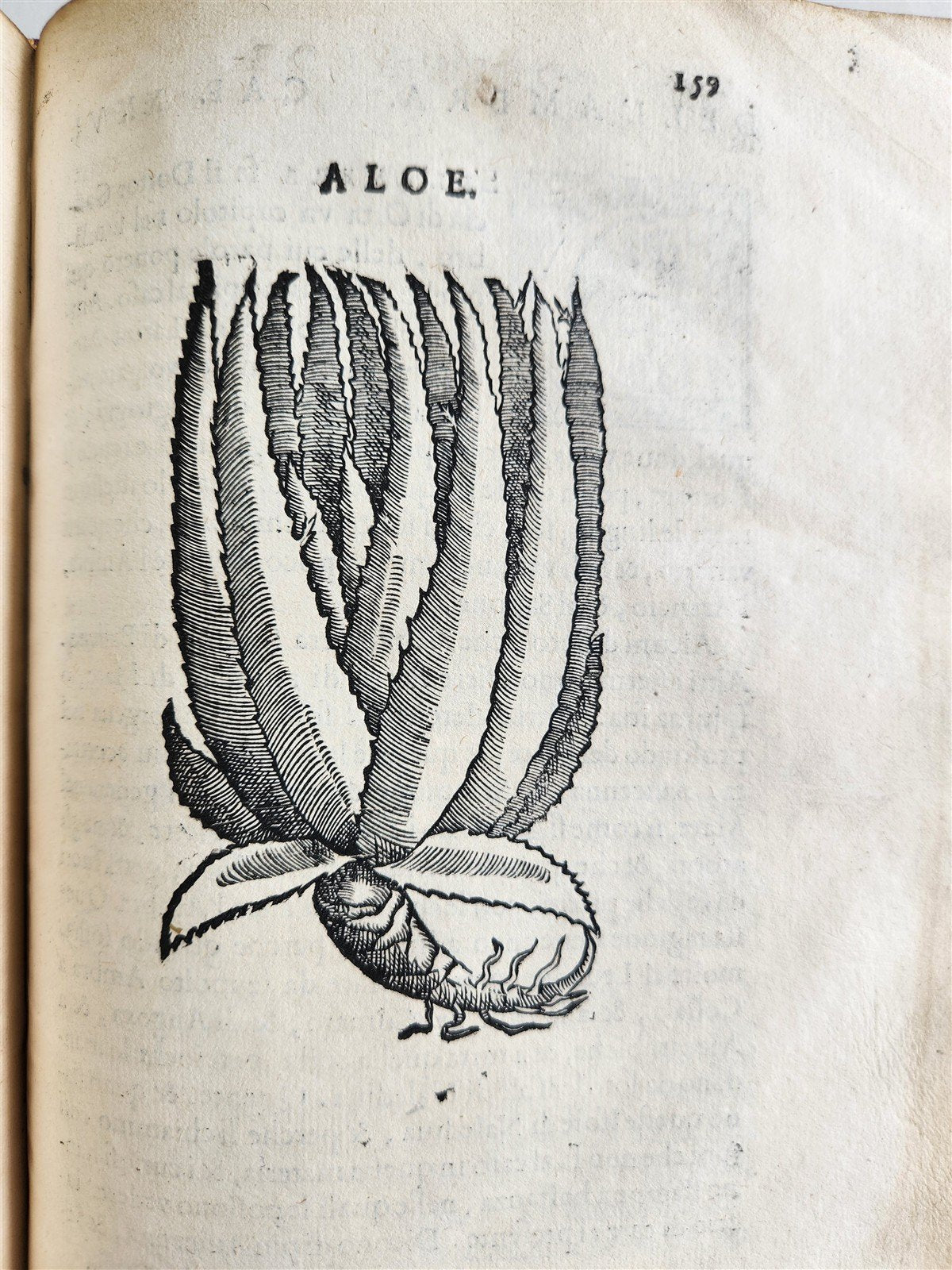 1585 HISTORY NATURE & POWER of MEDICINAL DRUGS by C. Acosta antique ILLUSTRATED