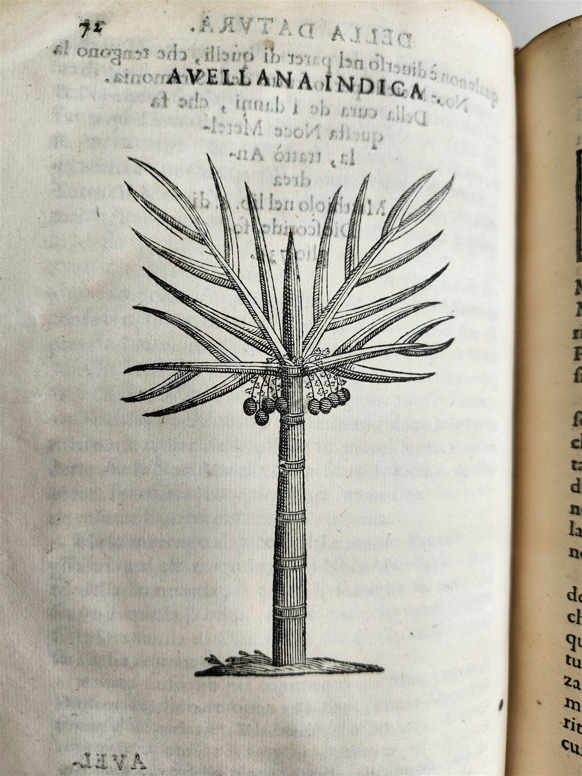 1585 HISTORY NATURE & POWER of MEDICINAL DRUGS by C. Acosta antique ILLUSTRATED