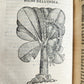 1585 HISTORY NATURE & POWER of MEDICINAL DRUGS by C. Acosta antique ILLUSTRATED