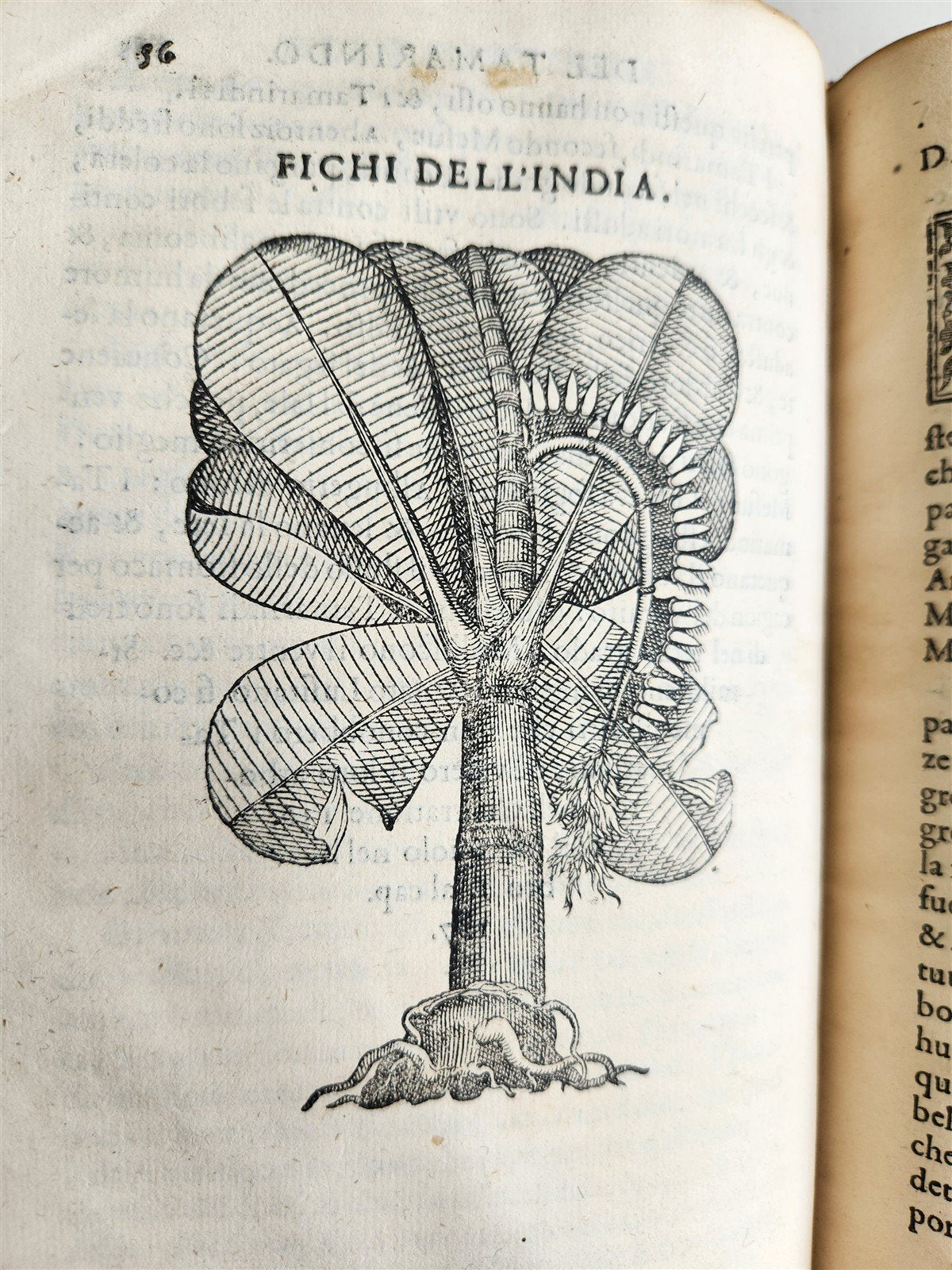 1585 HISTORY NATURE & POWER of MEDICINAL DRUGS by C. Acosta antique ILLUSTRATED