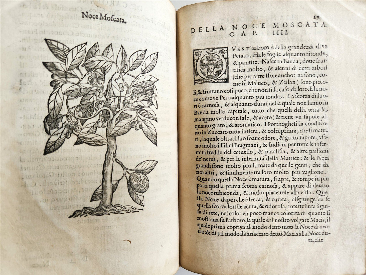 1585 HISTORY NATURE & POWER of MEDICINAL DRUGS by C. Acosta antique ILLUSTRATED
