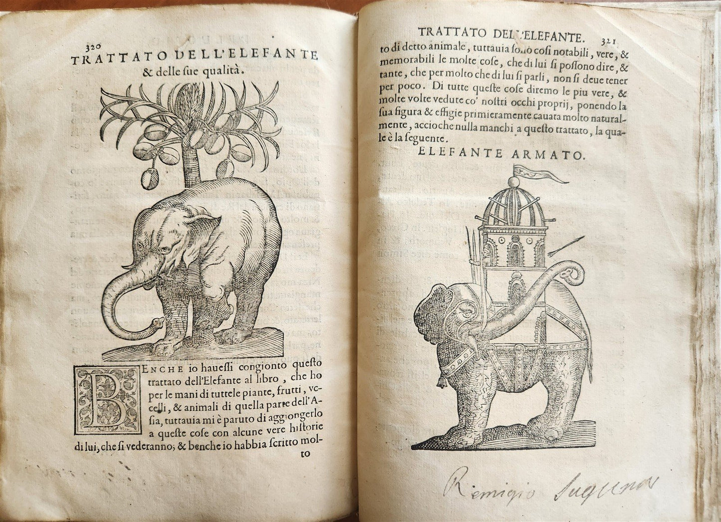 1585 HISTORY NATURE & POWER of MEDICINAL DRUGS by C. Acosta antique ILLUSTRATED