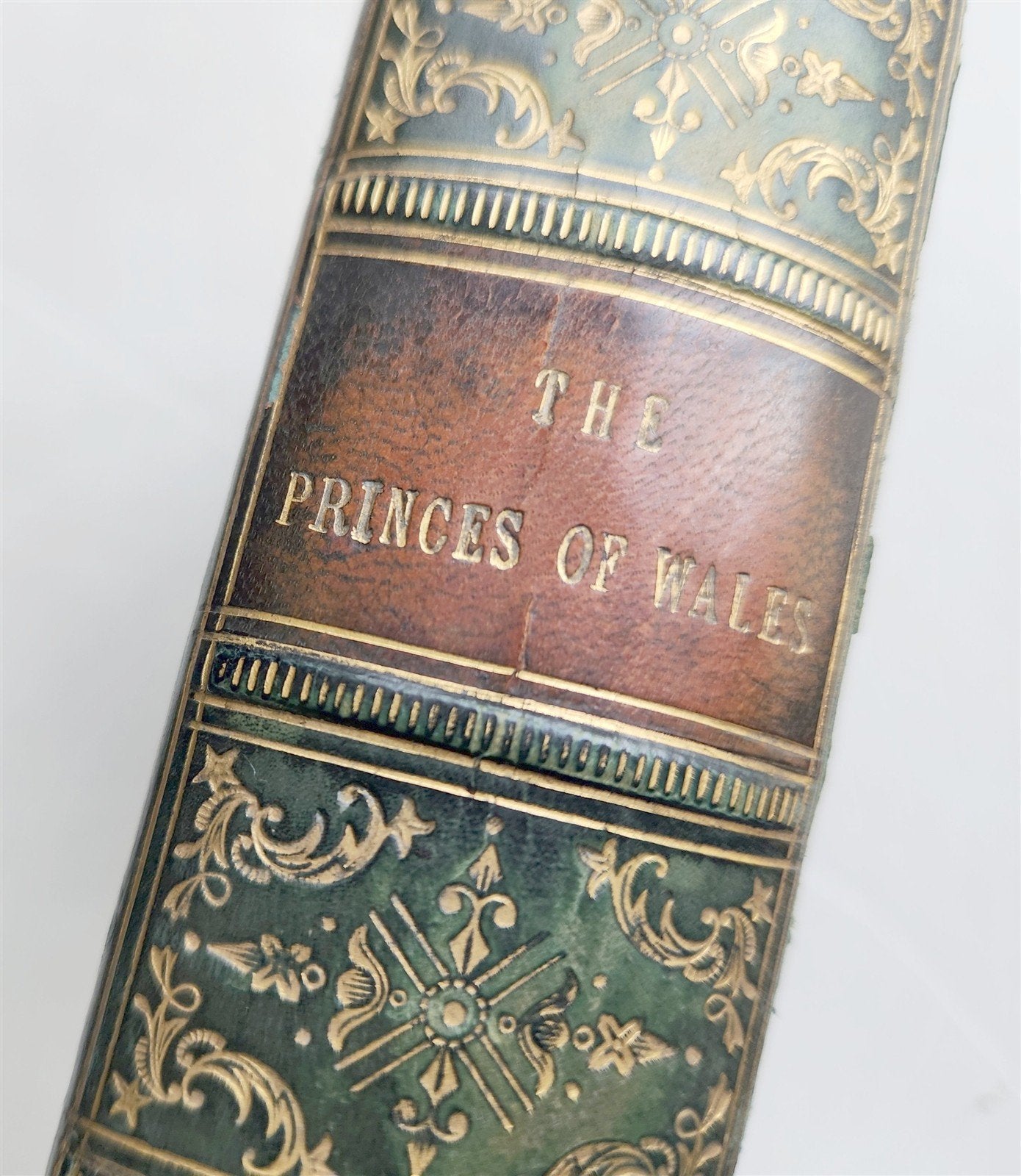 1860 THE BOOK of the PRINCES of WALES Heirs to the Crown of England antique
