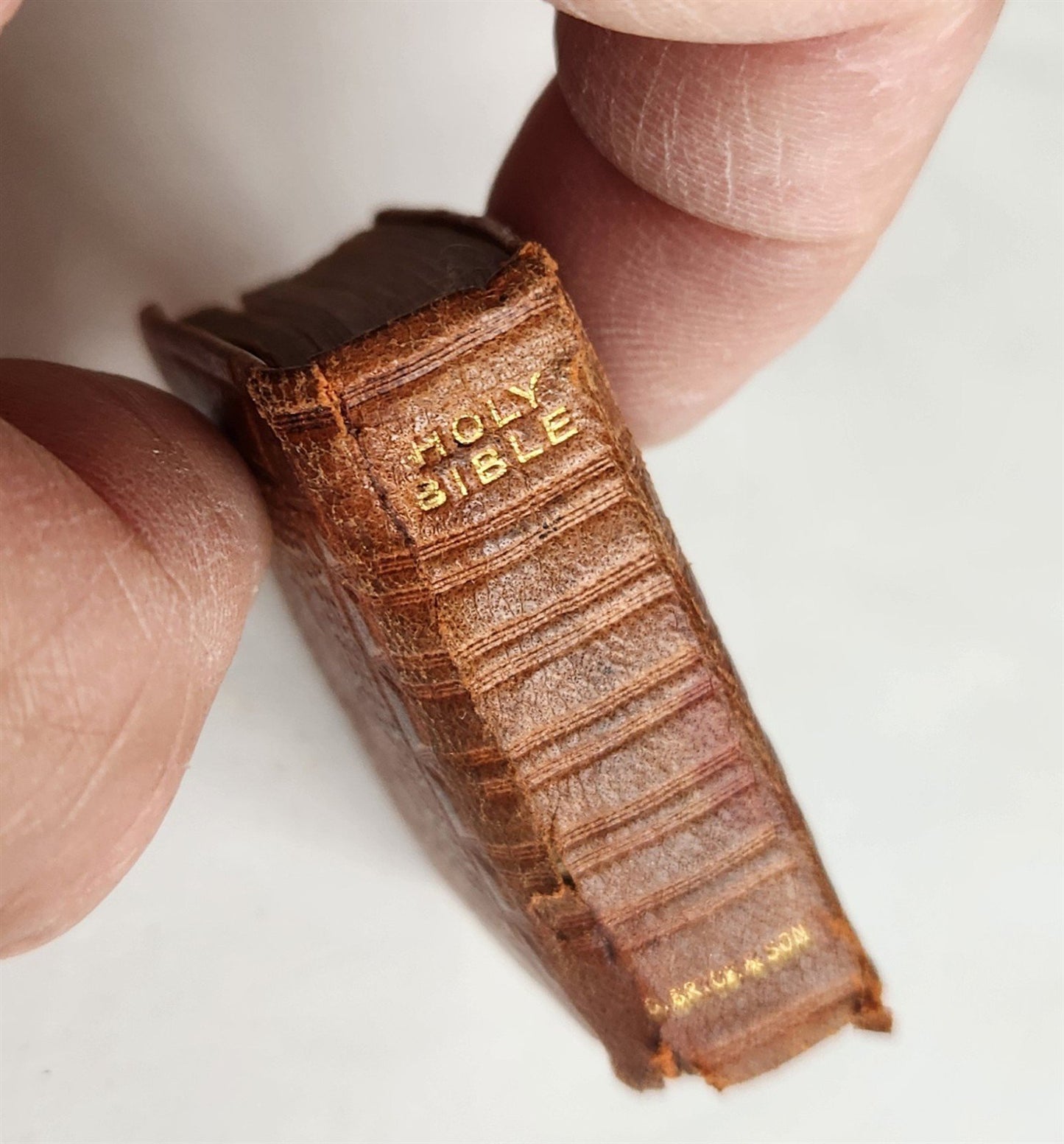1838 MINIATURE BIBLE in ENGLISH w/ Magnified glass ANTIQUE illustrated