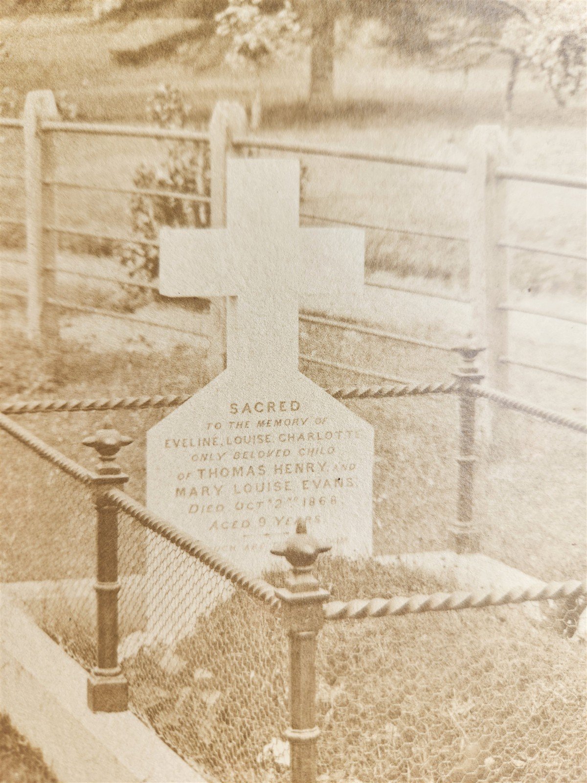 CEMETERY - LOT of 2 PHOTOS antique