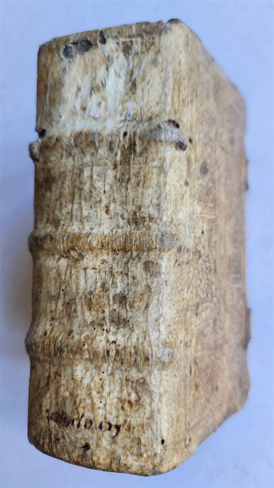 1554 INSTITUTIO CATHOLICA 16th CENTURY PIGSKIN BINDING ANTIQUE Johannes Gropper