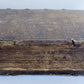 1562 BIBLE ILLUSTRATED antique ORIGINAL PIGSKIN BINDING LATIN BIBLIA SACRA 16 c.