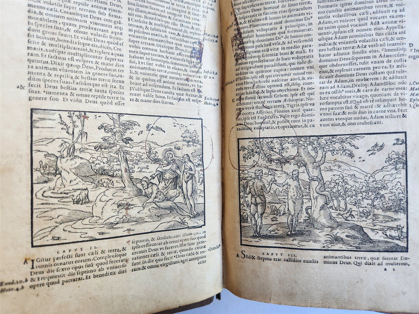 1562 BIBLE ILLUSTRATED antique ORIGINAL PIGSKIN BINDING LATIN BIBLIA SACRA 16 c.