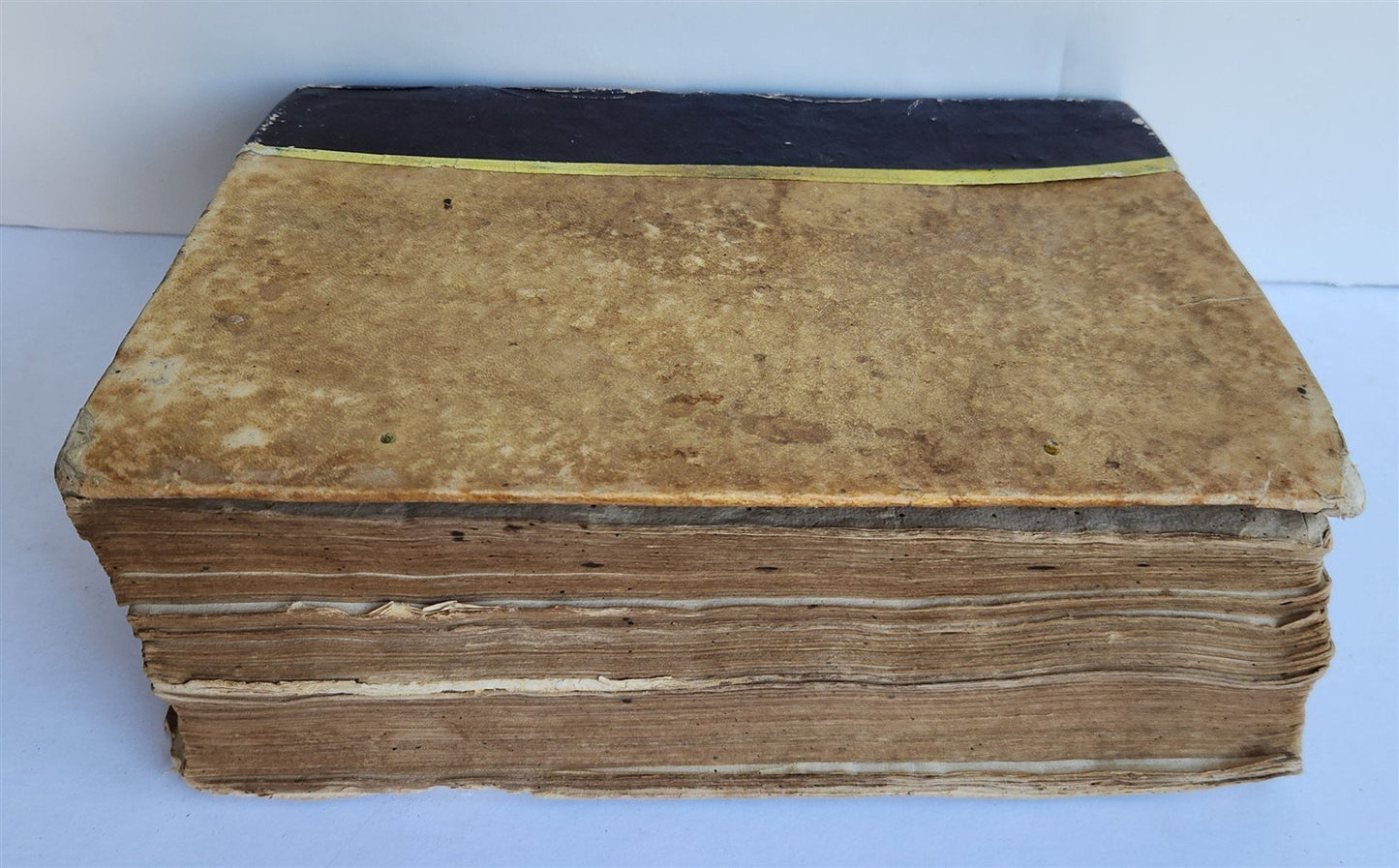 1572 DECRETALS of Pope Gregory IX antique 16th CENTURY CANON LAW