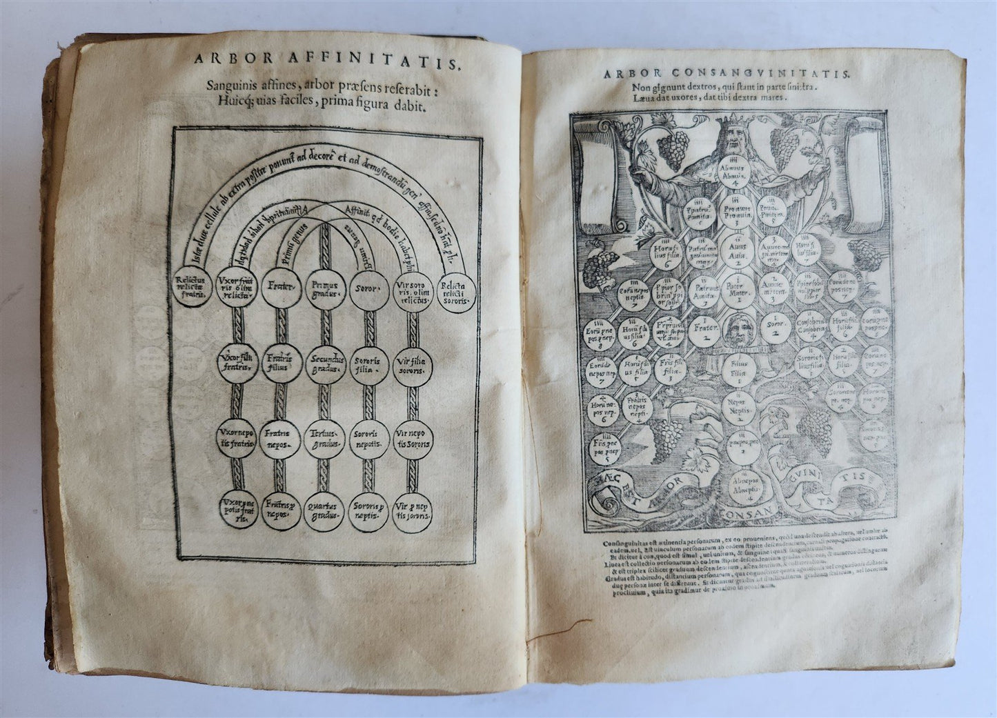 1572 DECRETALS of Pope Gregory IX antique 16th CENTURY CANON LAW