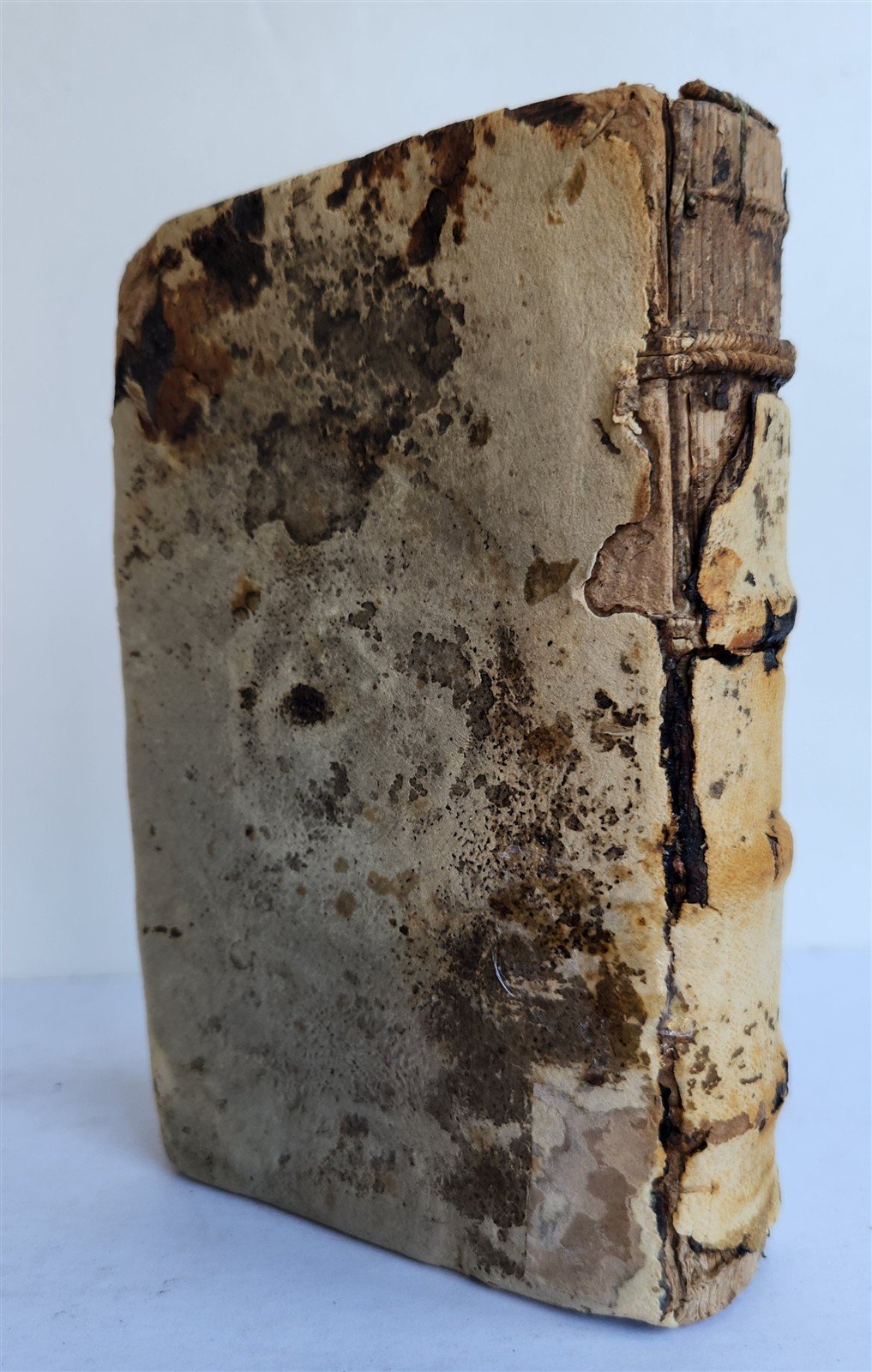 1542 PSALTER antique 16th CENTURY PSALTERIUM PARAPHRASIBUS