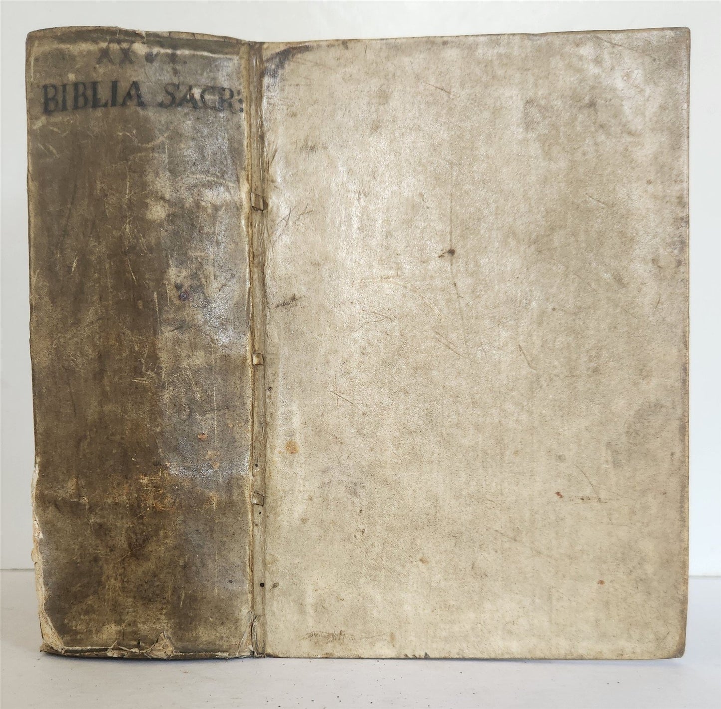 1558 BIBLE ILLUSTRATED antique VELLUM BINDING LATIN BIBLIA SACRA 16 century